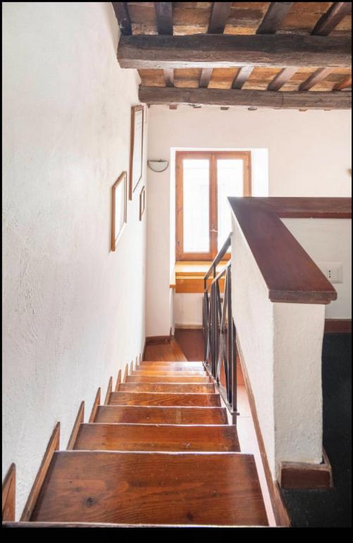 로마 Accogliente Casa Al Pantheon 아파트 외부 사진